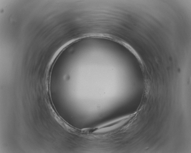 X0000083661148200703051745