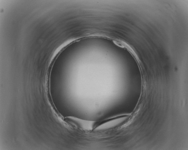 X0000083661149200703051745