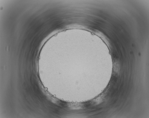 X0000083661150200703051745