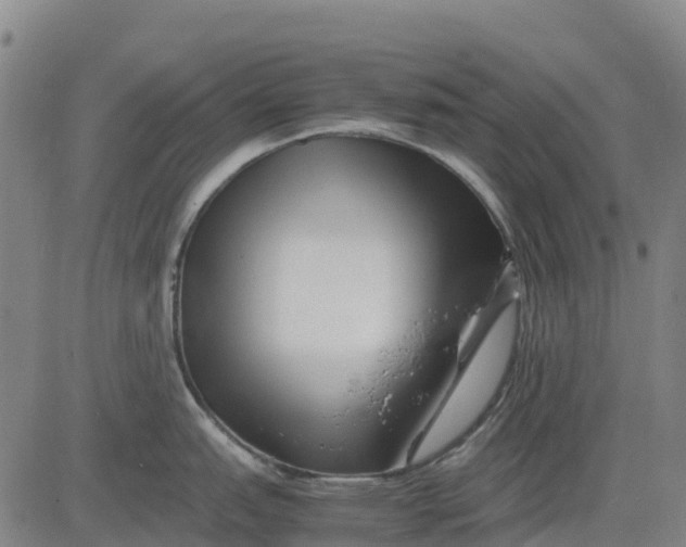 X0000083661151200703051745