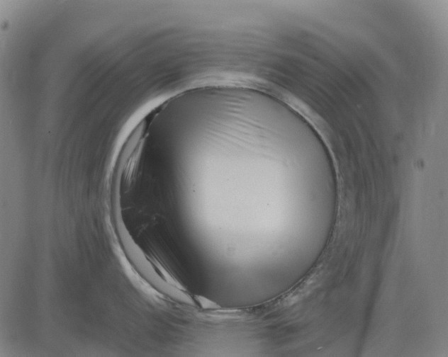 X0000083661152200703051745