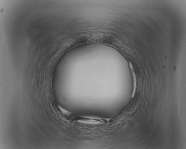 X0000083661153200703051744