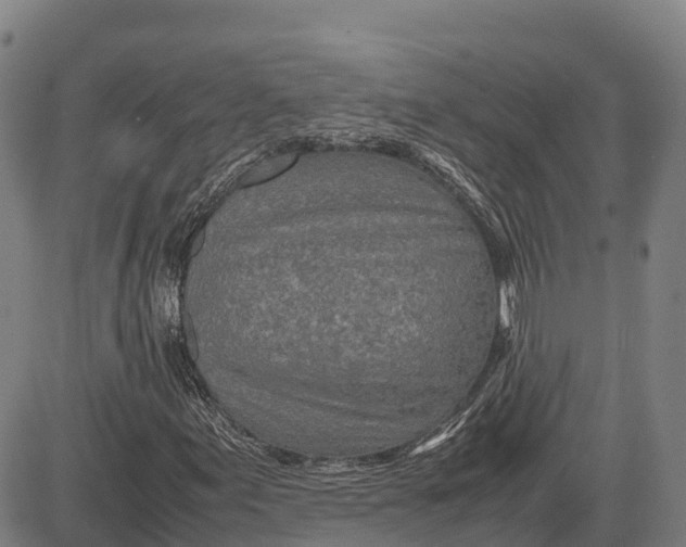 X0000083661155200703051744