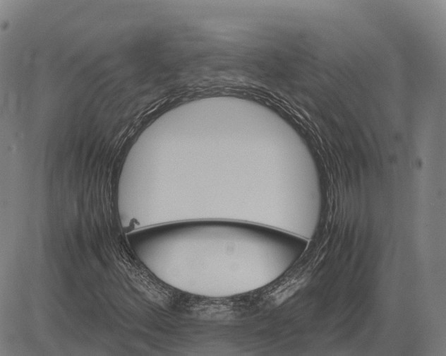 X0000083661156200703051744