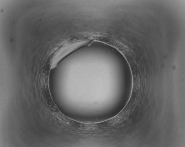 X0000083661157200703051744