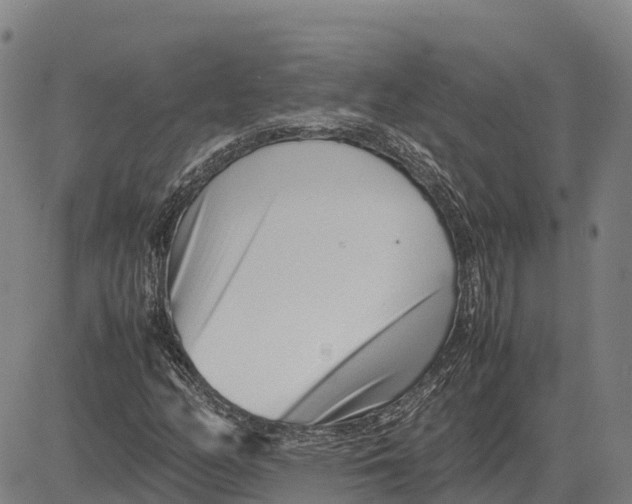 X0000083661158200703051744