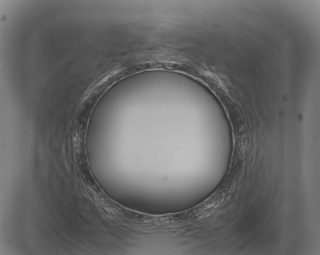 X0000083661159200703051744