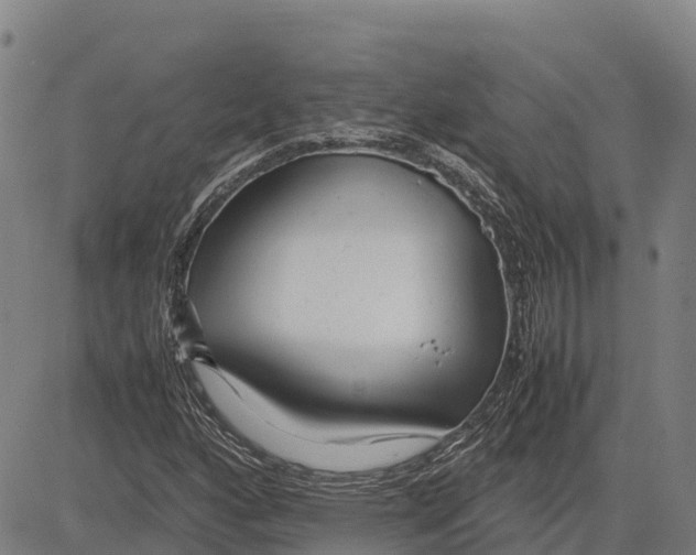 X0000083661160200703051744