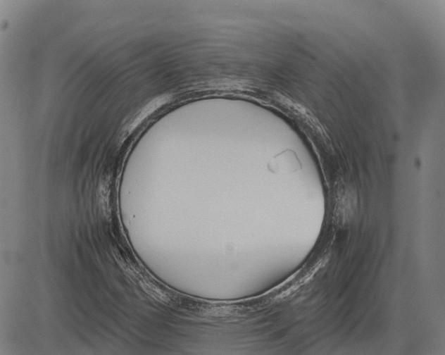 X0000083661162200703051744