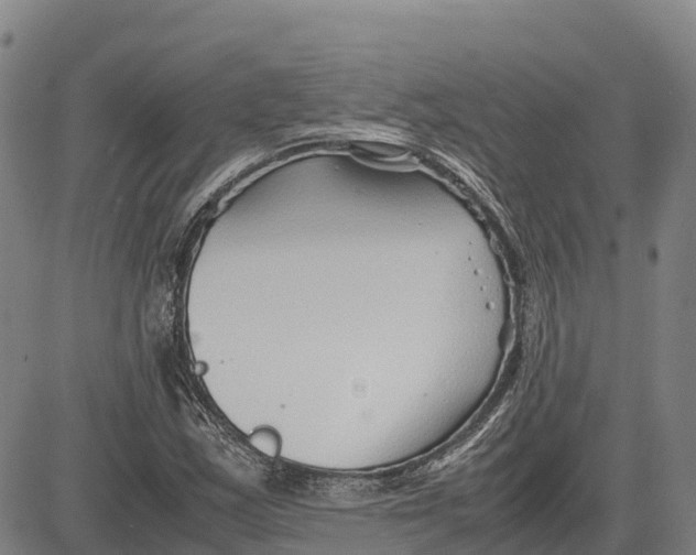 X0000083661163200703051744