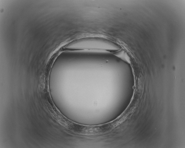 X0000083661165200703051744