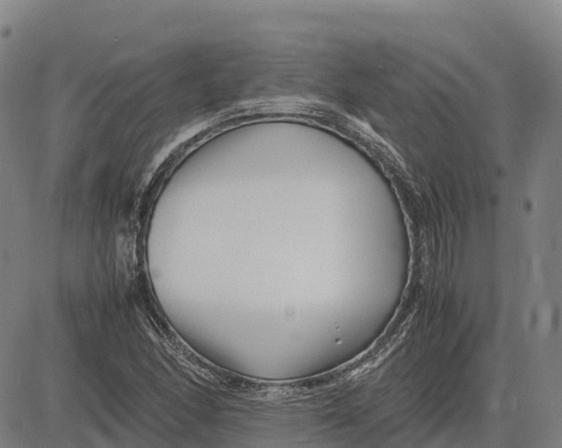 X0000083661166200703051744