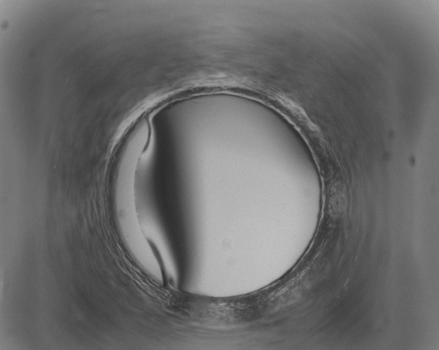 X0000083661167200703051744