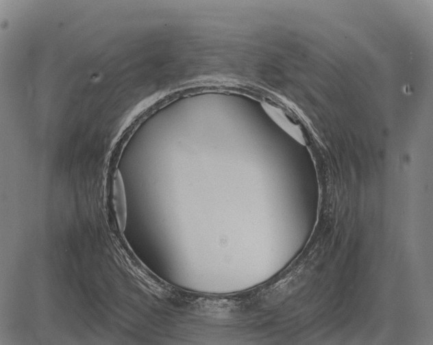 X0000083661168200703051744