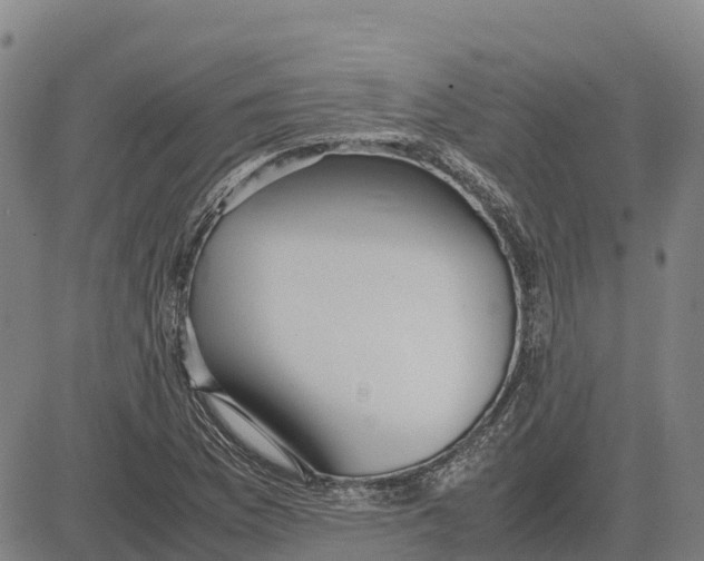 X0000083661169200703051744