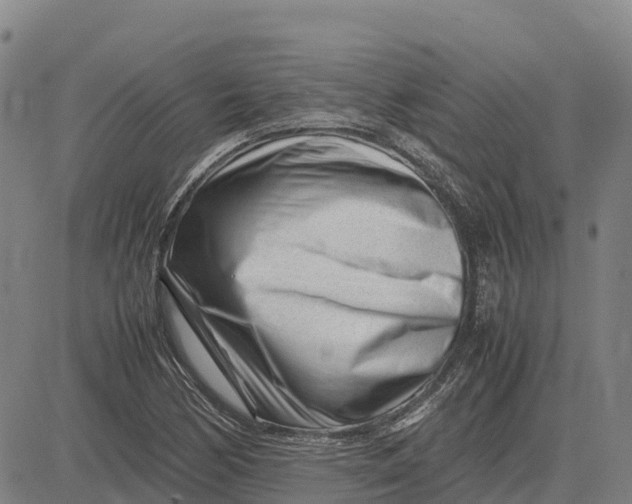 X0000083661170200703051744