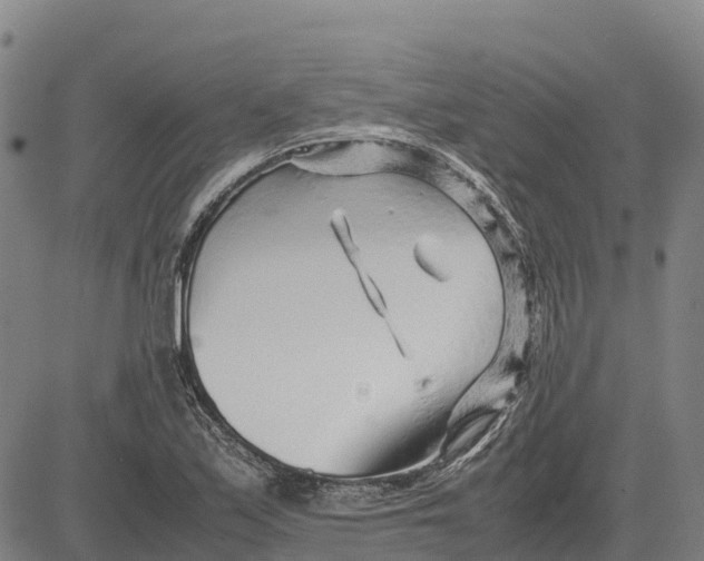 X0000083661171200703051744