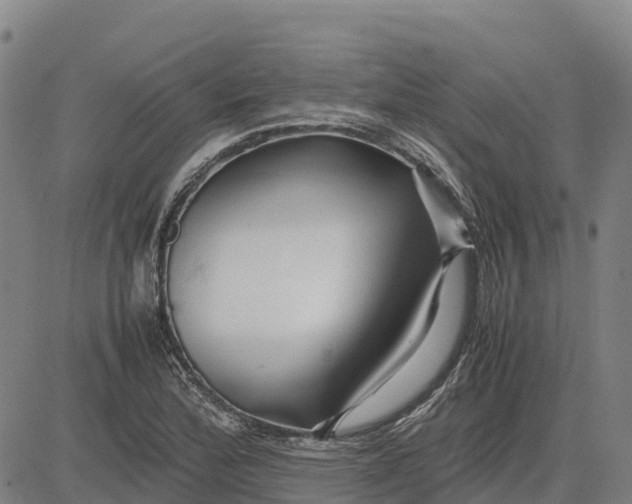 X0000083661172200703051744