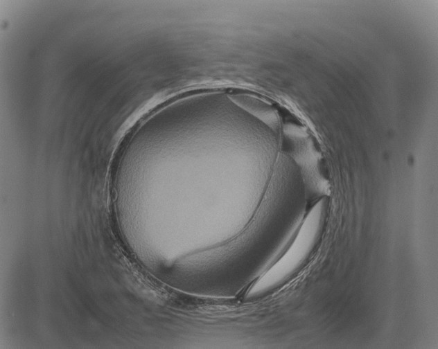 X0000083661173200703051744