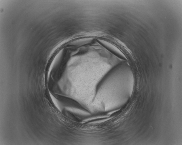 X0000083661174200703051744