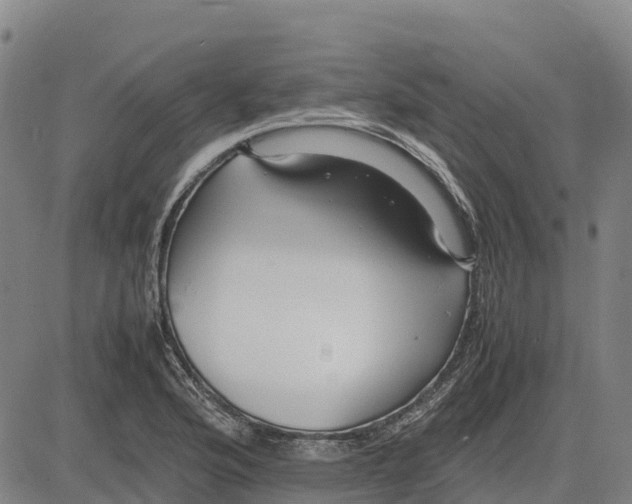 X0000083661176200703051744