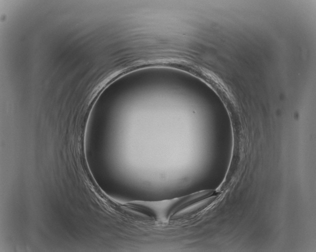 X0000083661177200703051744