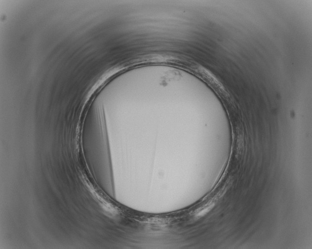 X0000083661178200703051744