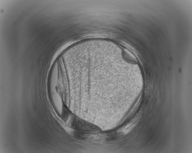 X0000083661179200703051744