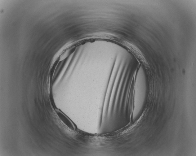 X0000083661180200703051744