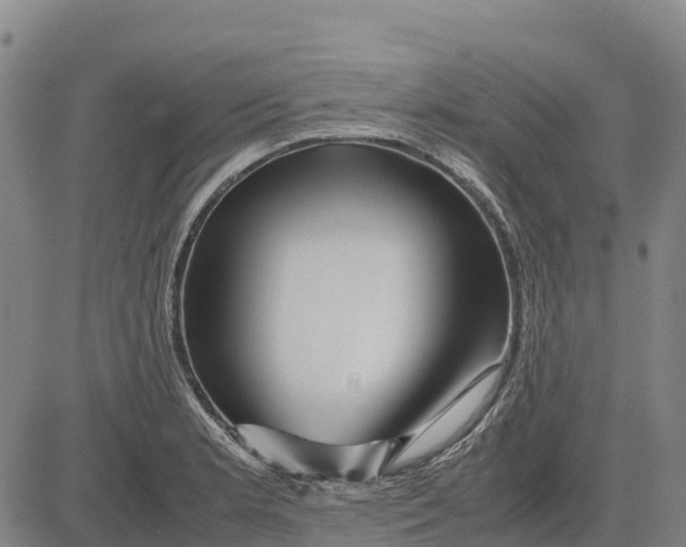 X0000083661181200703051744