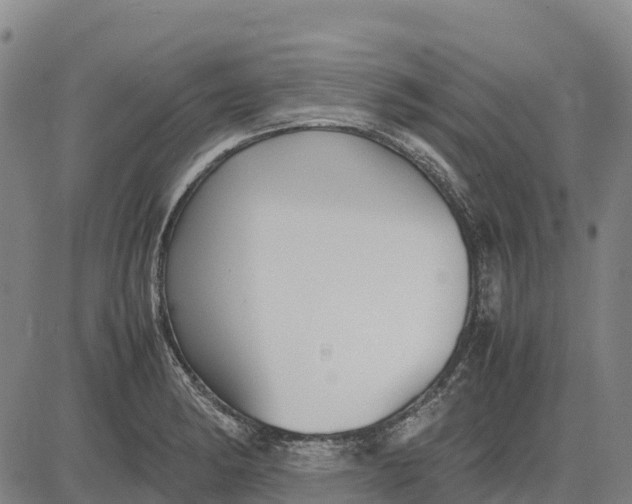 X0000083661182200703051744