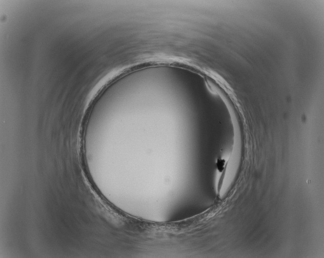 X0000083661183200703051744