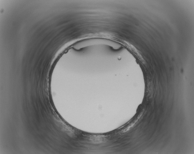 X0000083661184200703051744