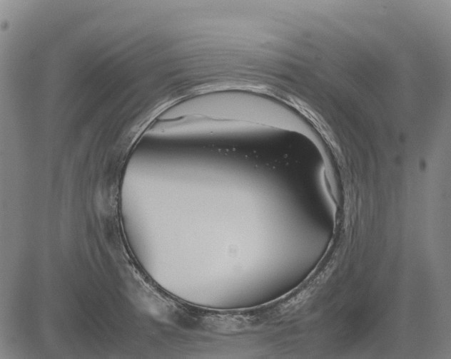 X0000083661185200703051744