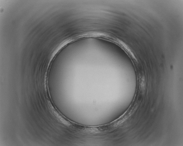 X0000083661186200703051744