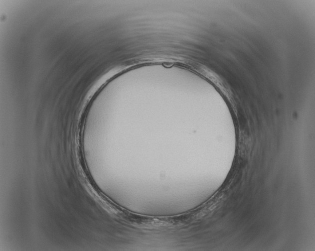 X0000083661187200703051744