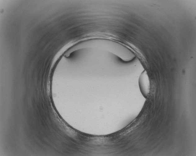 X0000083661188200703051744