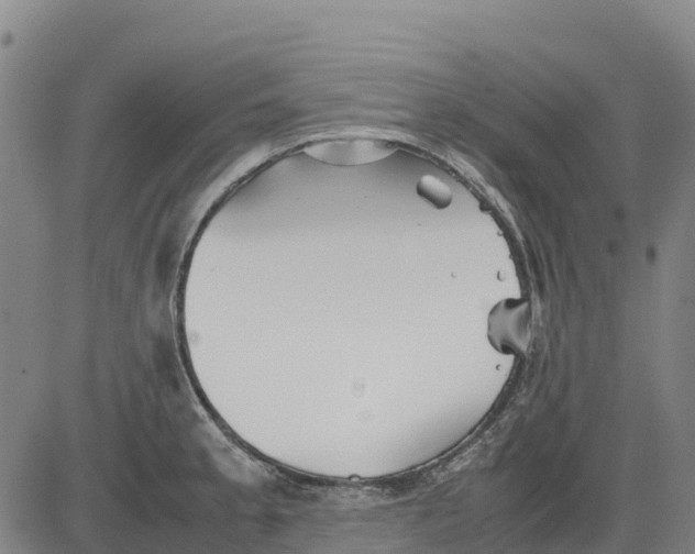 X0000083661189200703051744