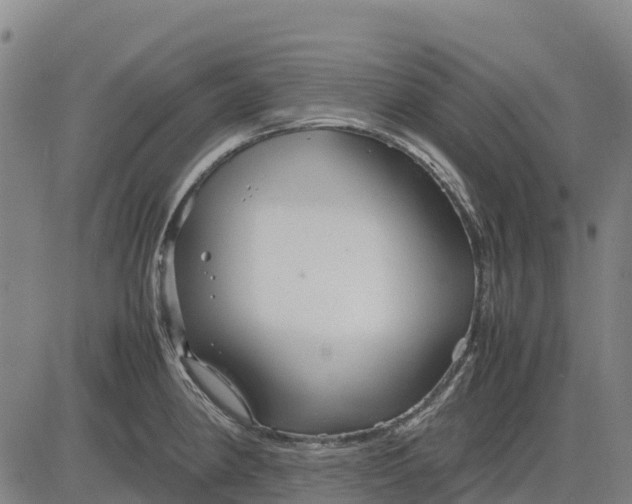 X0000083661190200703051744