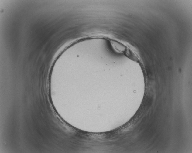 X0000083661191200703051744