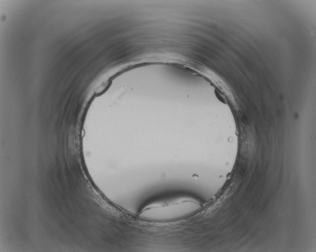 X0000083661192200703051744