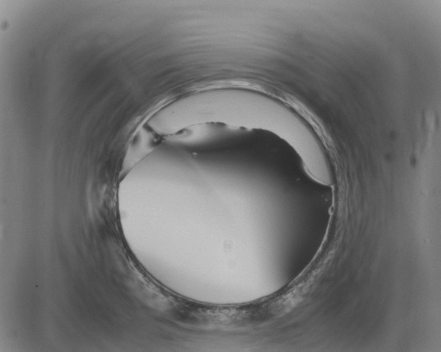 X0000083661193200703051744