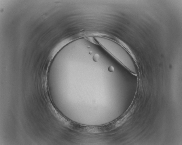 X0000083661194200703051744