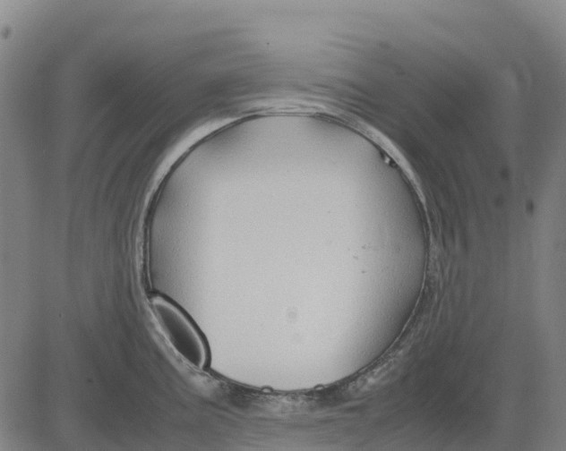 X0000083661195200703051744