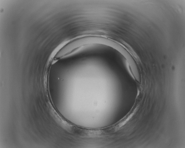 X0000083661196200703051744