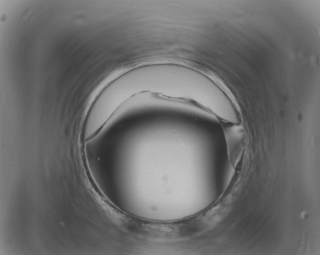 X0000083661197200703051744