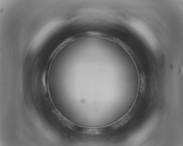 X0000083661198200703051744