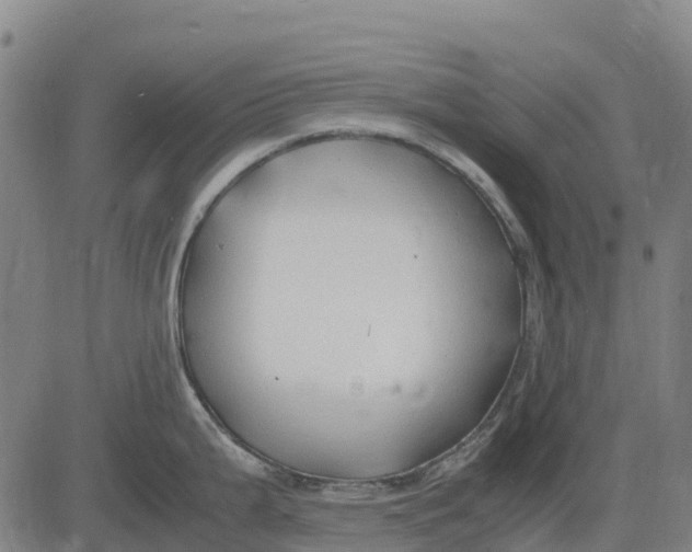 X0000083661199200703051744