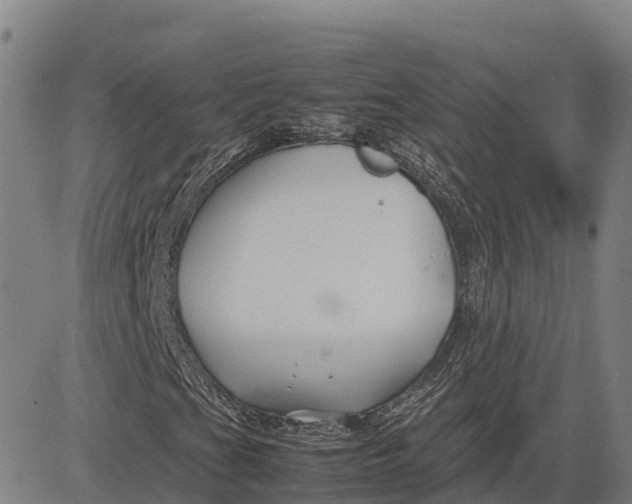 X0000083661201200703051743