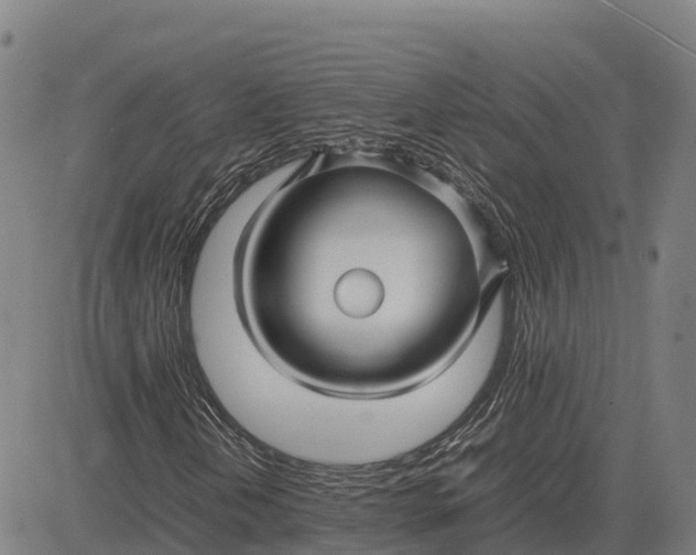 X0000083661202200703051743